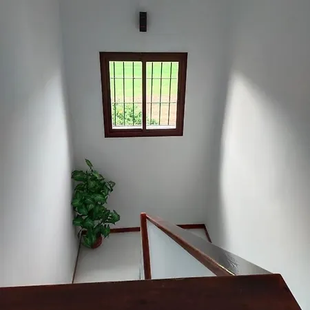 Holiday home Cortijo Cruces - Sevilla